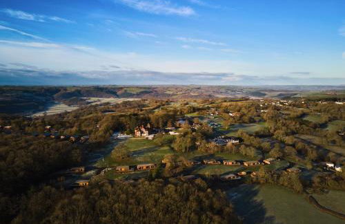 The Mole Resort - Lodges - Foto 3