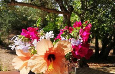 Agrilis Cottage near the beach - Foto 16