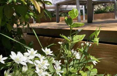 A l'Ombre des Tilleuls - Foto 26