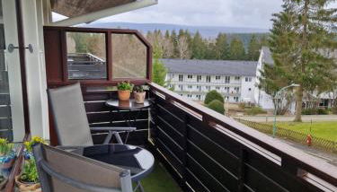 Ferienwohnung Tannenhöhe direkt am Wald - Foto 2