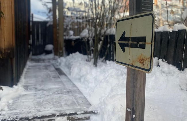 Downtown Whitehorse - Treehouse - Photo 22