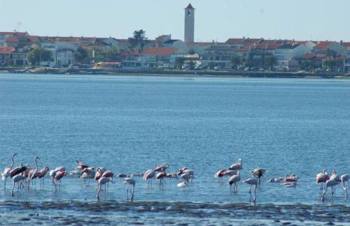 Casa dos Amigos - A luxury home in the nature - Foto 8