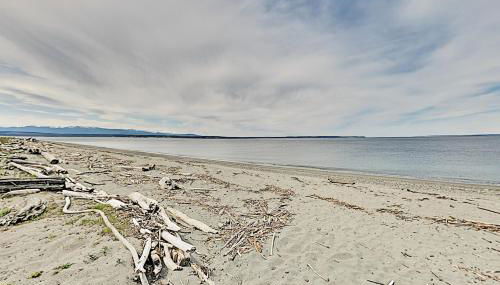 Bush Point Bliss - Foto 2