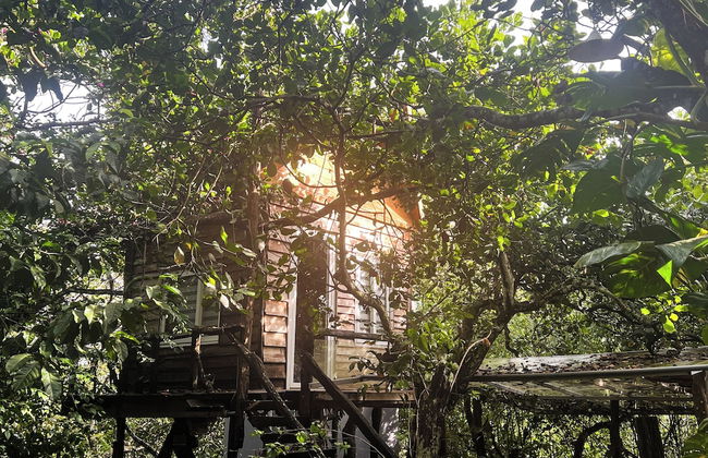 MeGarden Daknong - Foto 9