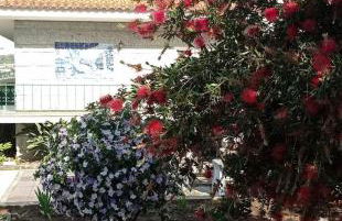 CASA CAMPO DA FEIRA - Foto 22