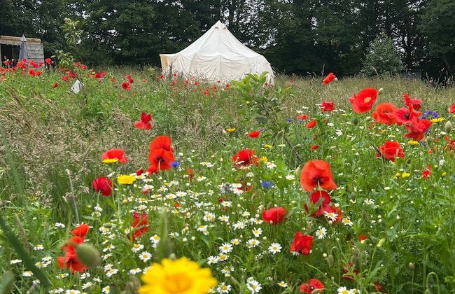 Beautiful Bell Tent Stay - Foto 31