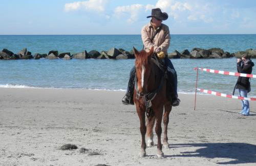 Büdnerei 51 - Foto 5