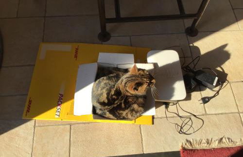 FeWo Spitzweg, Garlstorf - Lüneburger Heide - Foto 53