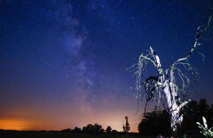 Ferienwohnung auf Pferdehof - Foto 24