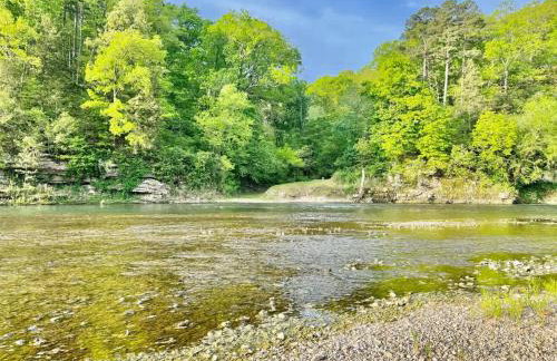 Eagle Rock Cabin Illinois River view - Foto 67