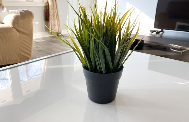 Cozy Private Bedroom Walk To Kennedy Stn - Foto 9