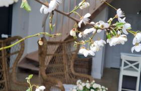 DOMKI Nad Jeziorami Niedźwiady - Foto 6