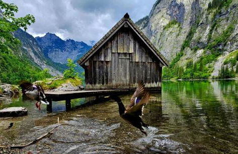 Malterlehen-Berchtesgaden - Foto 59