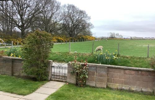 Bonny Vista - Foto 20