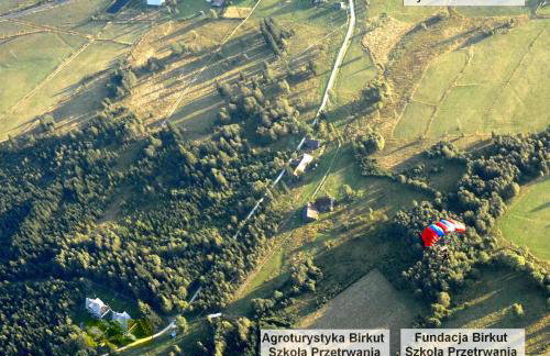 Birkut Szkoła Przetrwania 1 - Foto 21