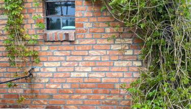 Siedlisko Maria - Foto 2