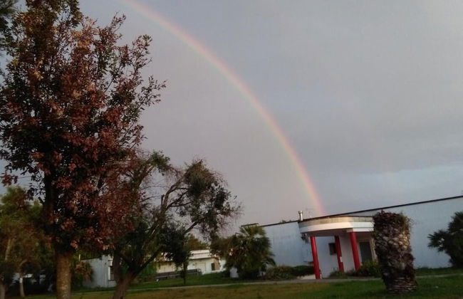 Maison Alighieri Oasi Verde - Photo 38
