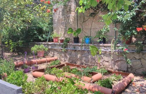 Finikas Rooms - Foto 53