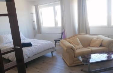 Entre 2 Rives Strasbourg-Kehl - Foto 10