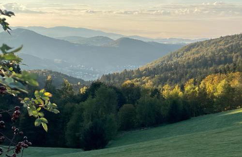 Haus "Panorama" - Foto 21