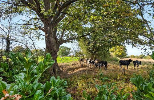 Little Barn - Foto 34