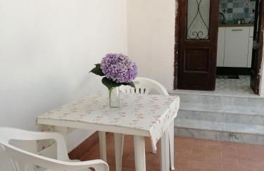 Azzurro Felix - Foto 10