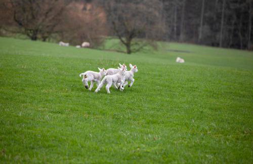 The Clock Tower - Foto 12