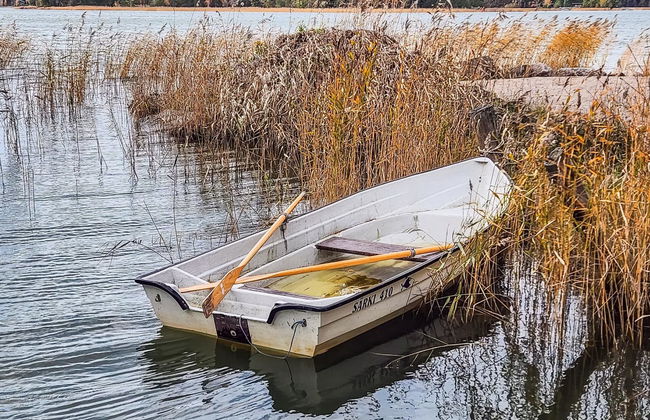 Korvenniemi - Foto 27