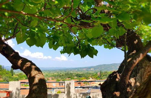 Ancient Olympia Luxury Pool Villa Palace 4Bedroom - Foto 30