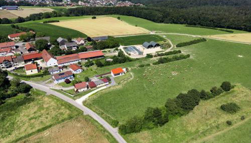 Wo sich Kuh, Fuchs und Hase gute Nacht sagen - Foto 2