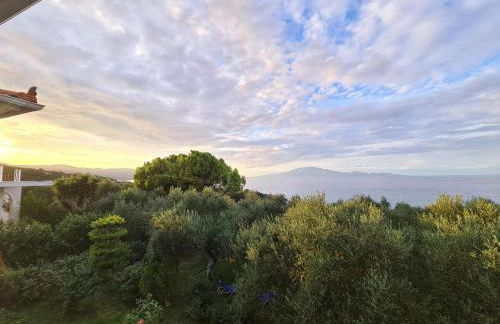 VILLA AGIA AIKATERINI - Foto 12