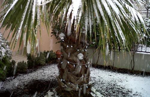 Residence Nobel - Foto 33