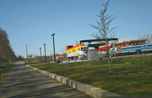 Les coccinelles - Foto 13