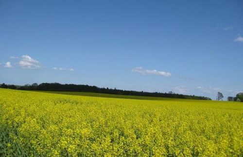 Ferienhaus Schenk - Foto 23