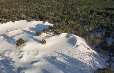 Zen Sasino - Foto 18