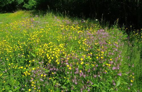 Doonbank Cottage Bothy - Foto 6