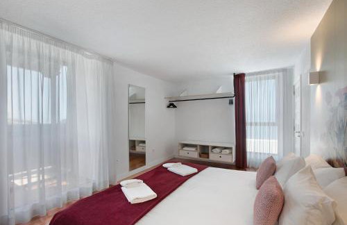 Linaje del Pago Listán Negro - Foto 9