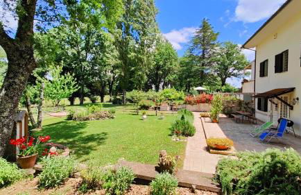 Locazione turistica nel verde Civita di Bagnoregio - Foto 9