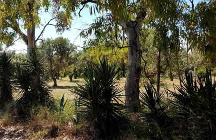 Apartamentos Cap y Corp - Foto 23