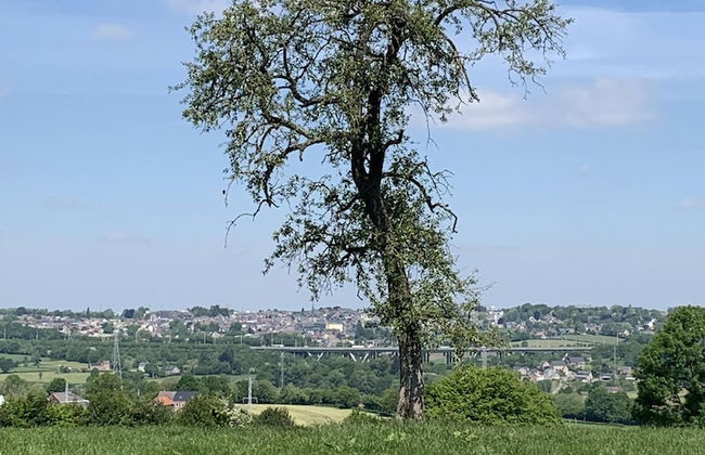 Country House Au Ballet des Hirondelles - Foto 36