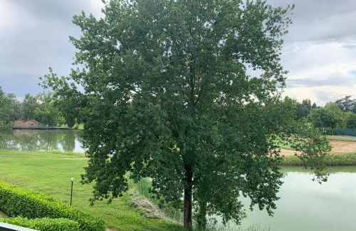 Ampio Appartamento con vista lago, sauna e camino Golf club Margara - Foto 28