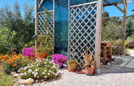 Quinta De Oliveiras - Foto 37