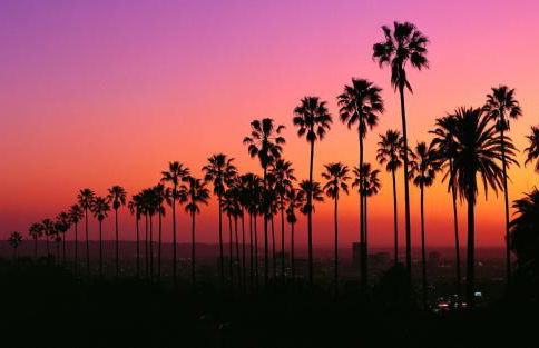 Villa Marina - AMAZING Modern, Spacious, Stylish 2 Master Suites in CENTRAL Marina Del Rey - Photo 1