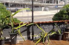 Terraço dos Léo's - Foto 9