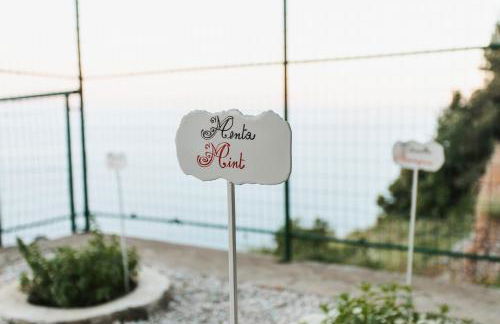 Apartments PARADISE GARDEN Holiday House - Foto 54