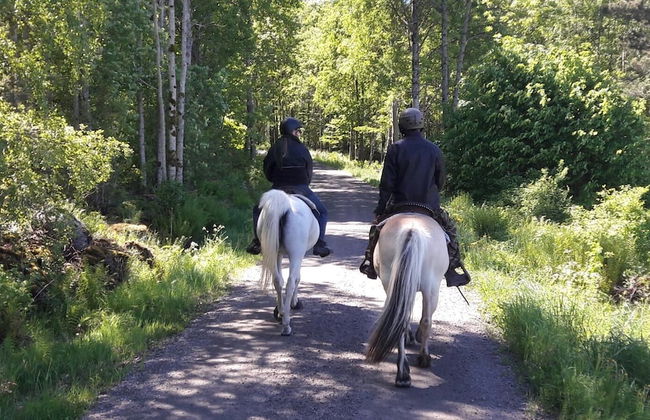 Grönelid Gård - Foto 20