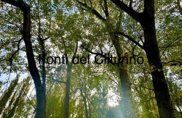 Casa vacanze Giuliani via Rasiglia - Photo 13