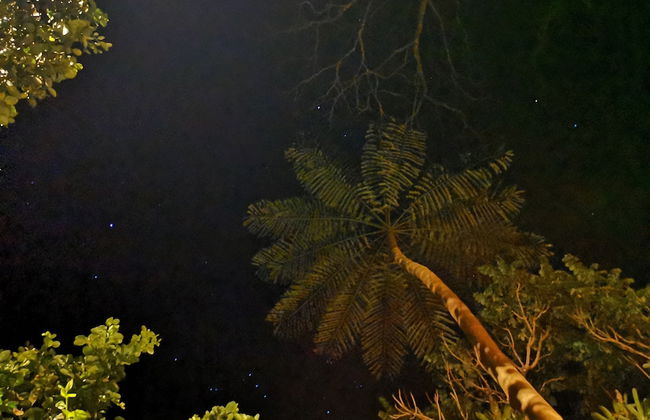 Las Cabanas - Foto 78