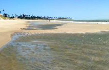 Casa operete - Foto 9