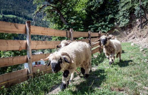 Hinterscholerhof - Photo 34